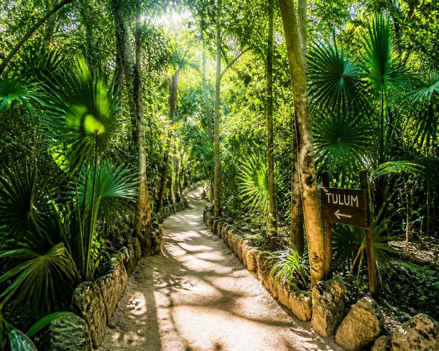 discover the ultimate forest bathing experience in tulum's jungle, designed for true relaxation and reconnecting with nature.