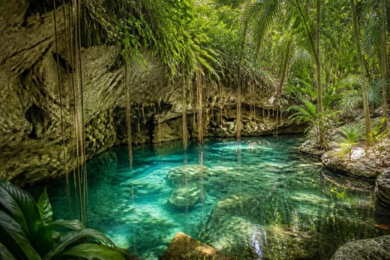 discover the healing power of sacred cenotes, ancient natural wonders that promote wellness and rejuvenation. explore their mystical waters and unlock holistic benefits for mind and body.